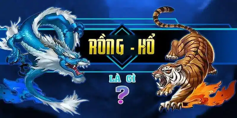 Rồng hổ 123b là gì